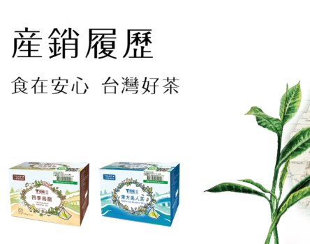T世家台灣茶推薦評價介紹，茶葉品牌首選T世家有機茶